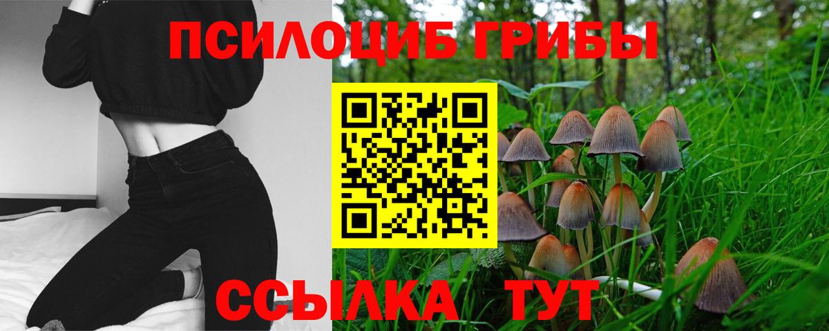 Галлюциногенные грибы Magic Shrooms  Галлюциногенные грибы мицелий  Вход с VPN  где продают наркотики  Нижний Тагил 